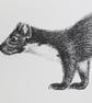 Pine marten card - Image 3