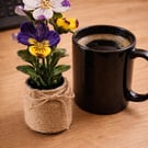 Everlasting Flowers in a Reclaimed Candle Jar – Handmade Gift