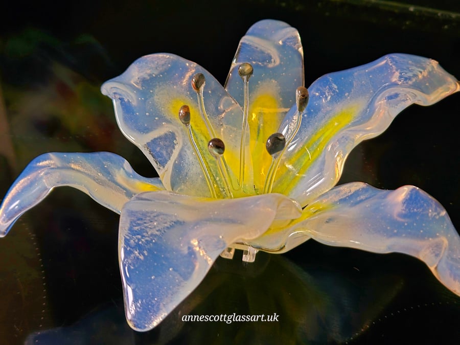 Handmade Fused Glass Oplaline White and Yellow Lily 3 of 3 with Wall-mount