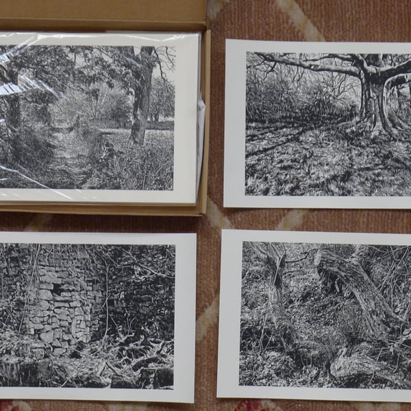 Zine in a box 20 A5 prints