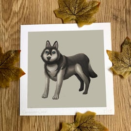 Husky Art Print