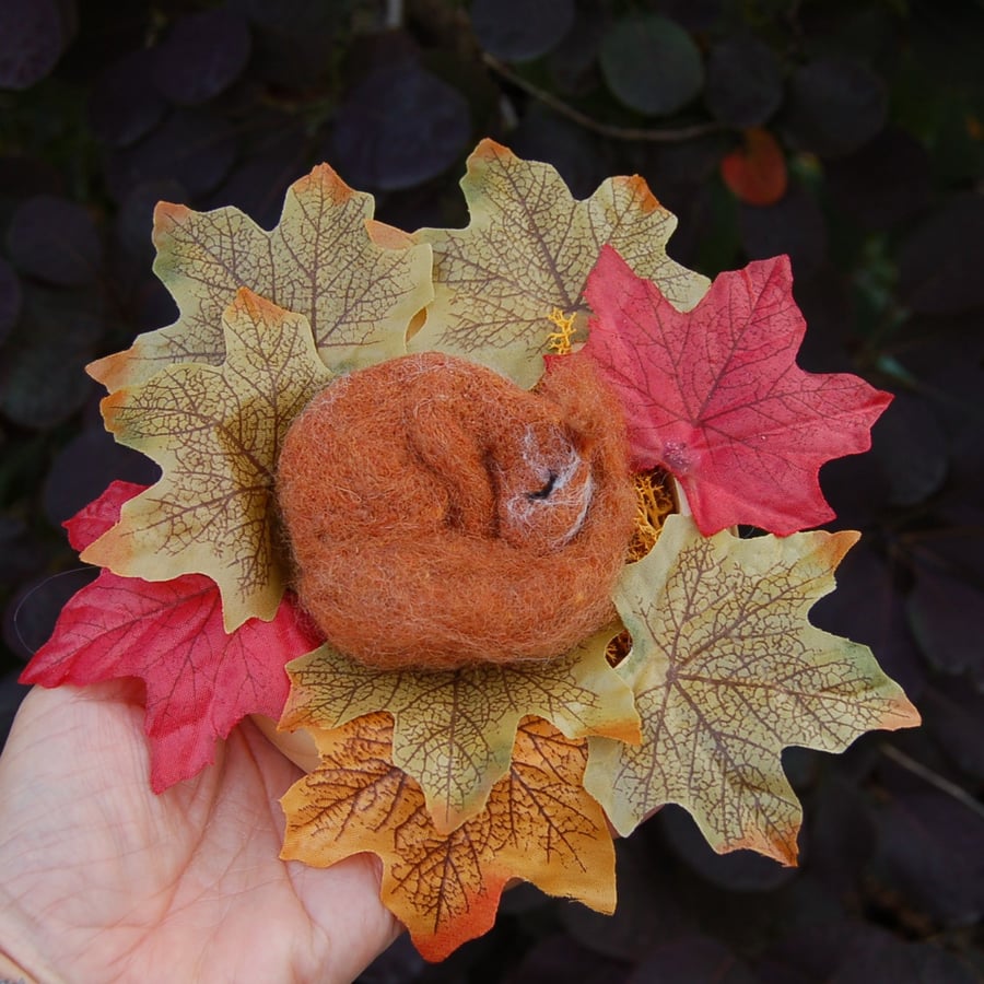 Baby Red Squirrel Displayed in Leaf Nest. Fibre Art Squirrel Needlefelt Squirrel