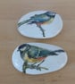 Decoupaged 'Bird' Pebbles - Image 6