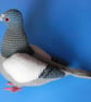 Pigeon CROCHET PATTERN in UK crochet terms  PDF file - Image 2
