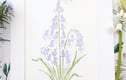 Original watercolour paintings 