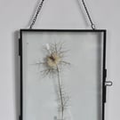 Floating Frame Flower Picture