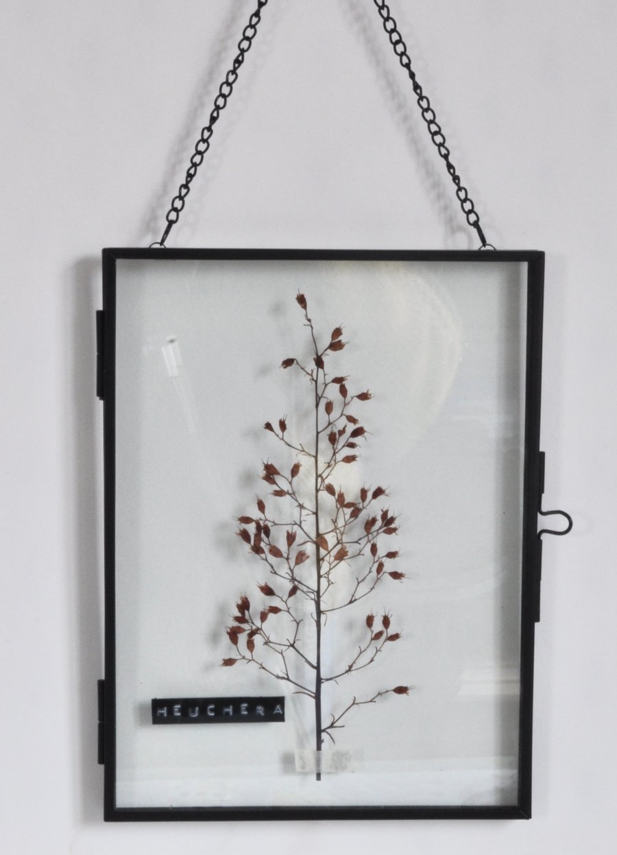 Floating Frame Flower Picture