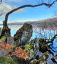 Coniston Water and its tangled shoreline - Image 1
