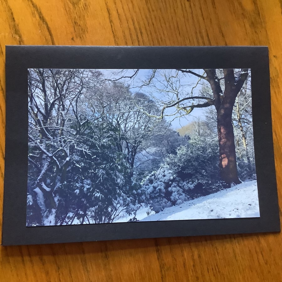Handmade photo card of 'Tree View in Snow' 