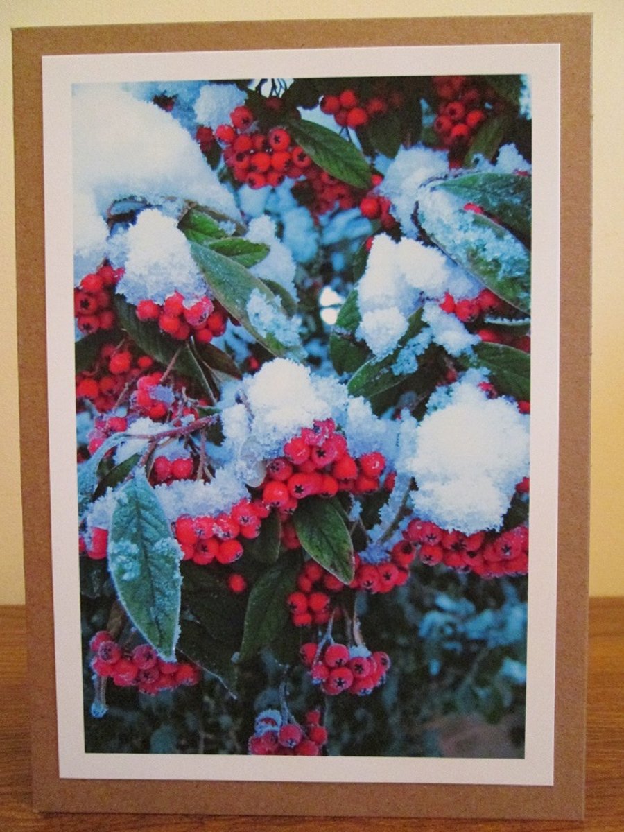 Snowy Berries Photo Greetings Card, Christmas Card, Yule Card