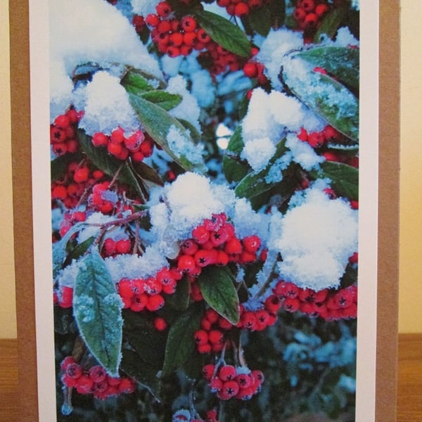 Snowy Berries Photo Greetings Card, Christmas Card, Yule Card