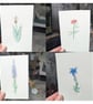Set of 18 Coloured Wildflower Sketches - Image 5