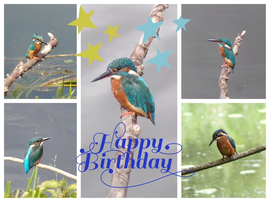 Kingfishers Birthday Greeting Card A5