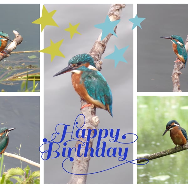 Kingfishers Birthday Greeting Card A5