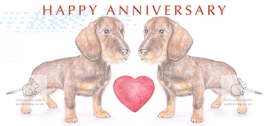Wire-haired Dachshunds -  Anniversary Card