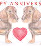 Wire-haired Dachshunds -  Anniversary Card - Image 1