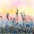 Fen Sunrise Reed Bed Original Landscape Watercolour Painting