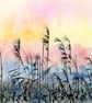 Fen Sunrise Reed Bed Original Landscape Watercolour Painting