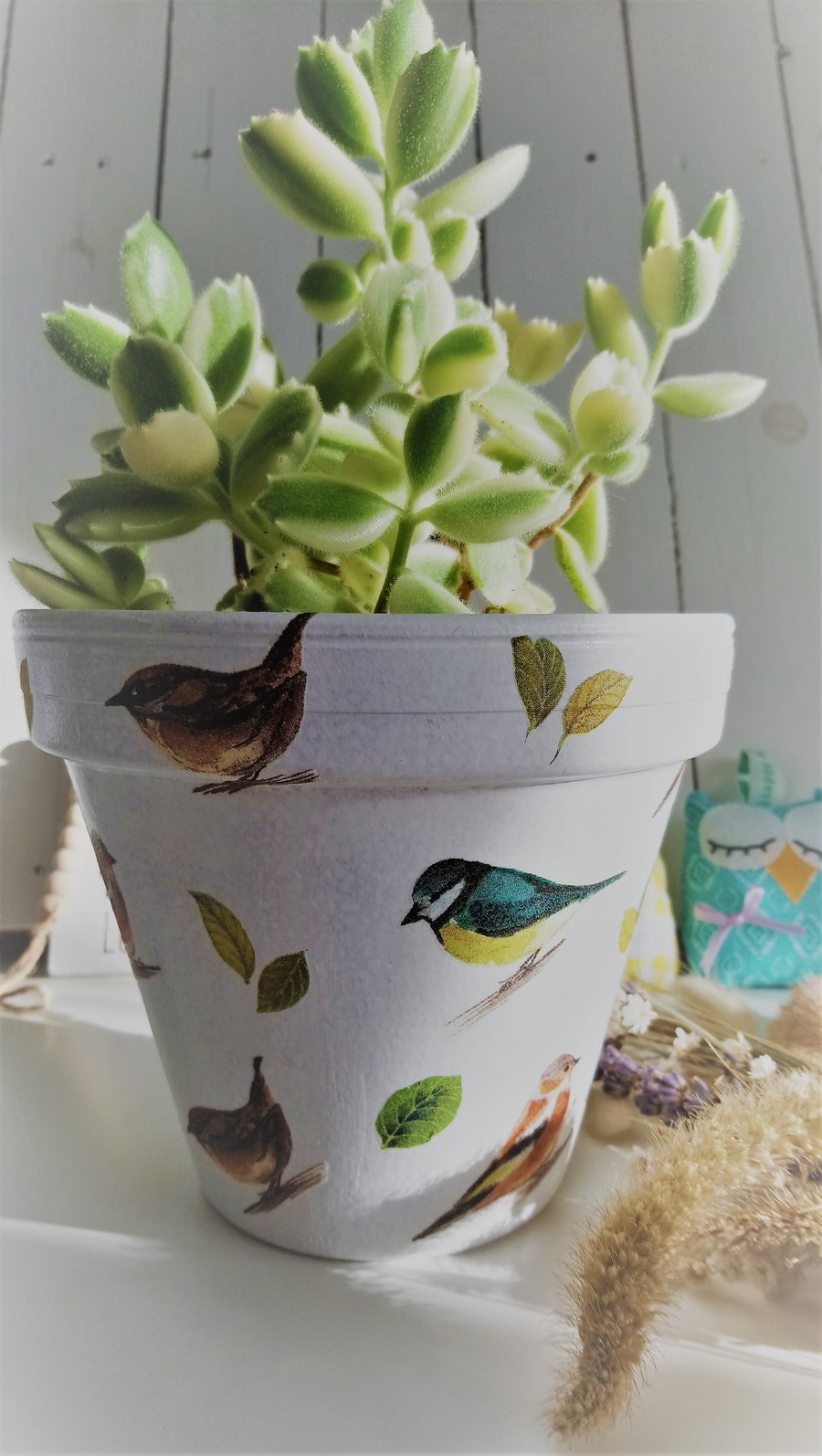 Decoupaged Garden Birds & Leaves Design Indoor Terracotta Pot