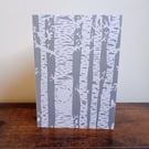 Birch Tree with Carved Love Heart - Anniversary Greeting Card - Eco-friendly 