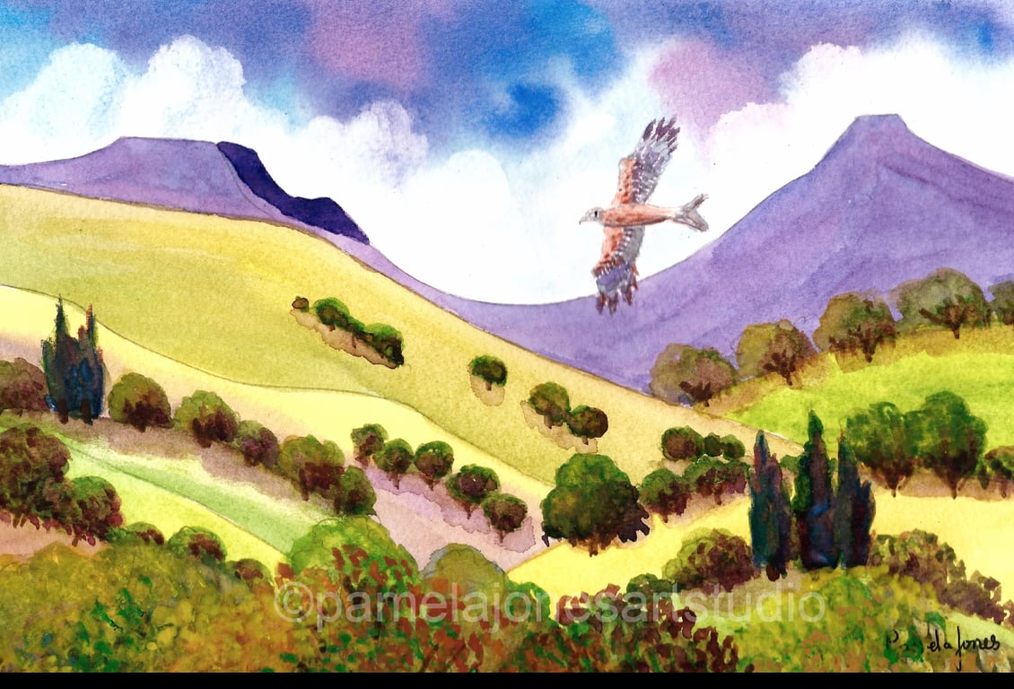 Red Kite, The Brecon Beacons, South Wales in 8 x 6'' Mount