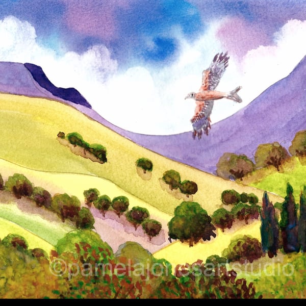 Red Kite, The Brecon Beacons, South Wales in 8 x 6'' Mount