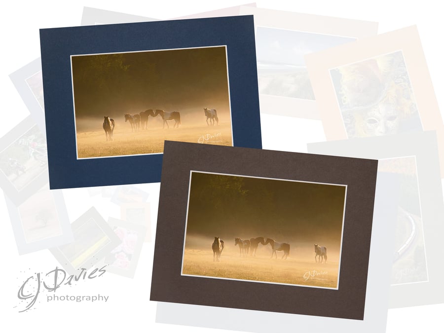 CJ103 - Ponies in the early morning mist