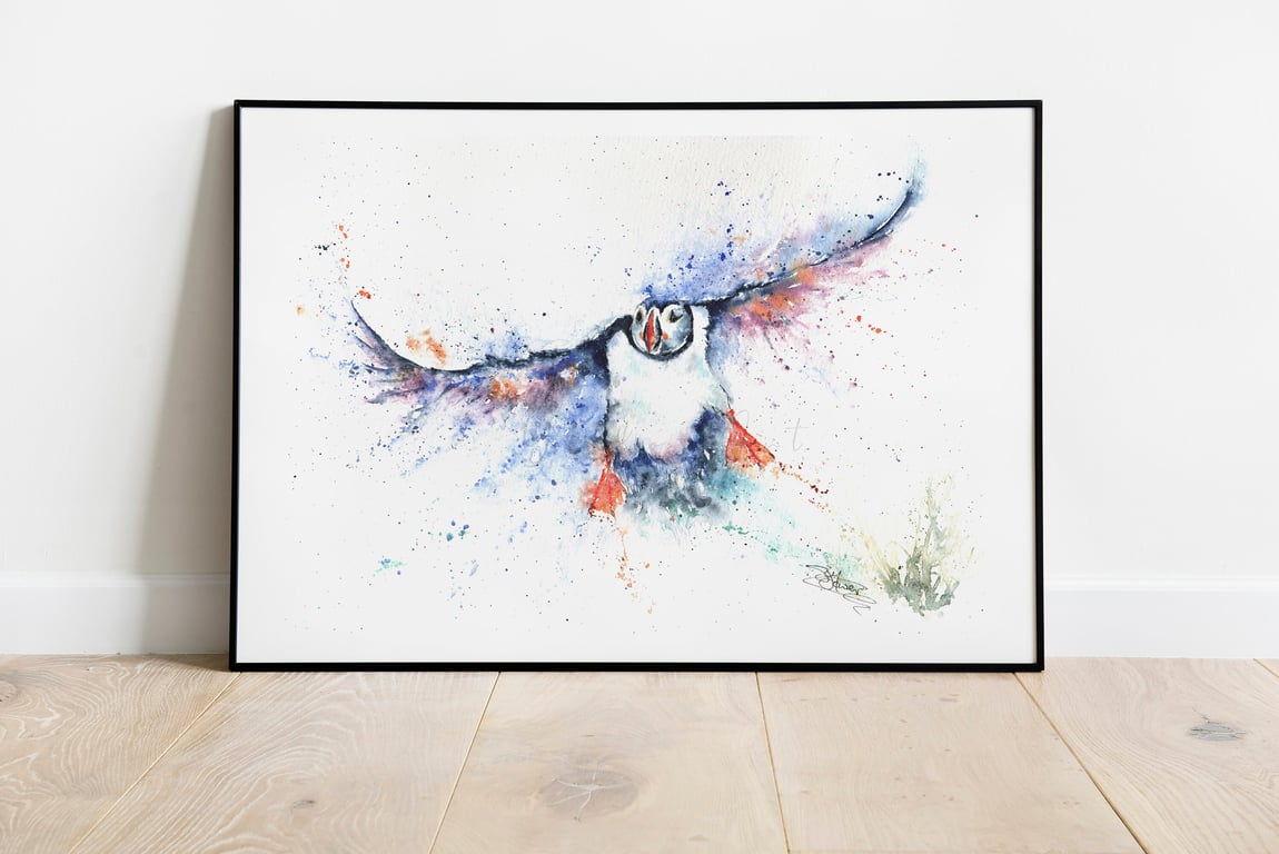 Incoming Puffin, A Ltd Edition Fine Art Print from an Original Watercolour 