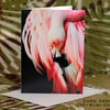 Exclusive Handmade Graceful Flamingo Greetings Card No2 on Archive Photo Paper