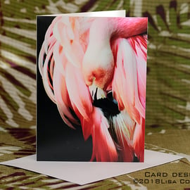 Exclusive Handmade Graceful Flamingo Greetings Card No2 on Archive Photo Paper