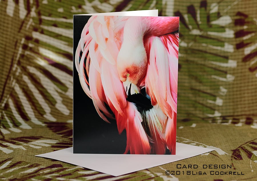 Exclusive Handmade Graceful Flamingo Greetings Card No2 on Archive Photo Paper