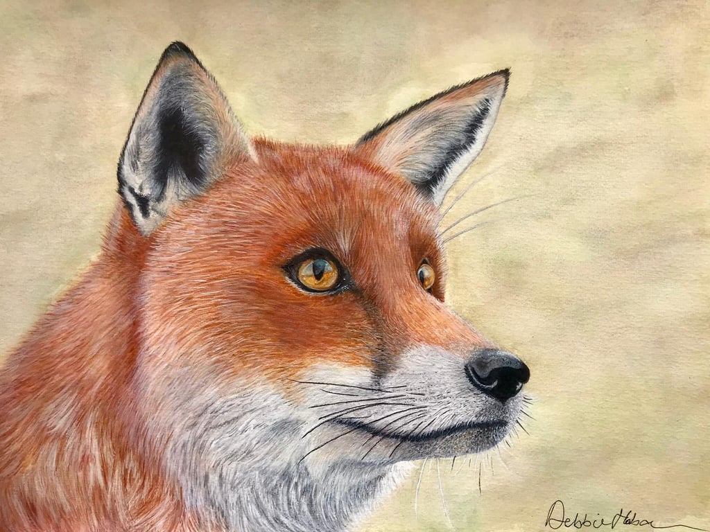 “Autumn Fox” blank card or mini print to frame 