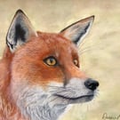 “Autumn Fox” blank card 