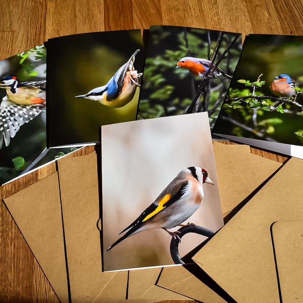 A Little Bird Told Me - Wild Moments Greeting Card Set - Local Birds