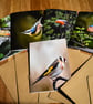 A Little Bird Told Me - Wild Moments Greeting Card Set - Local Birds