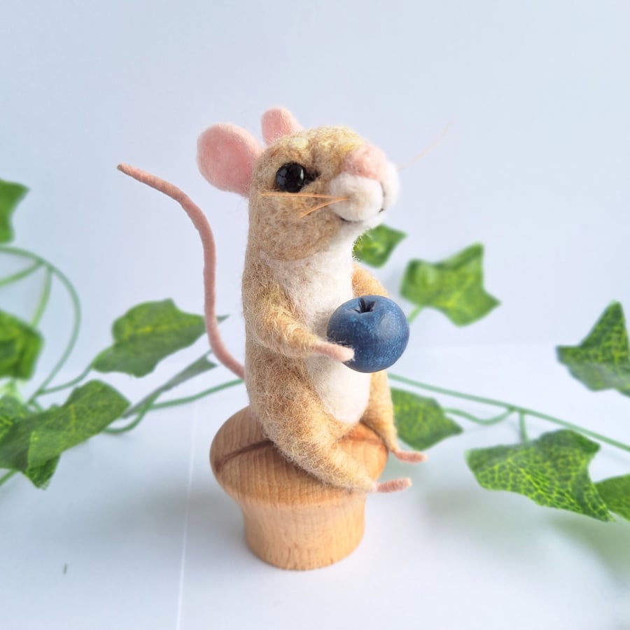 Blueberry Door Mouse