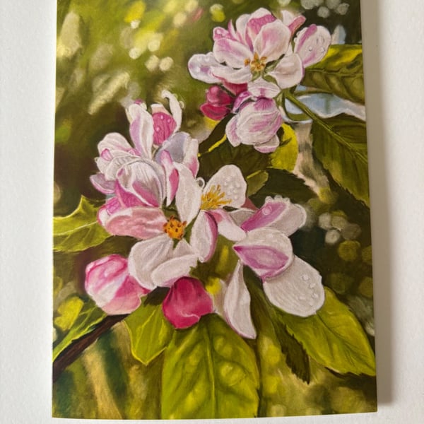 Pack of Floral cards 