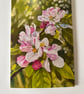 Pack of Floral cards 