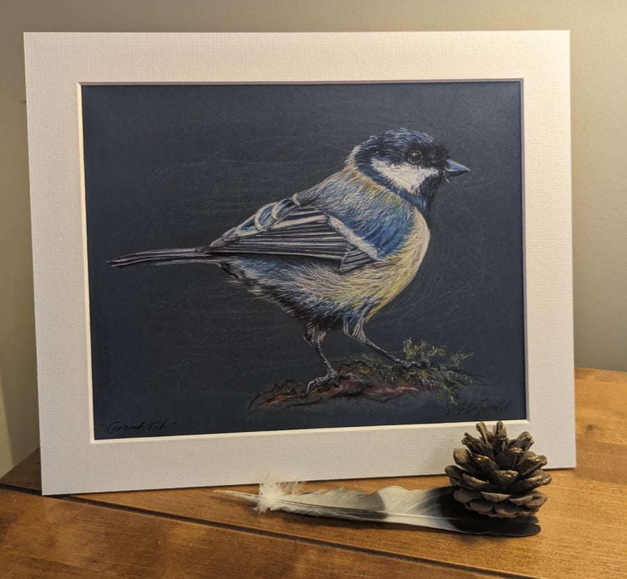 Great Tit, a signed print of an original drawing