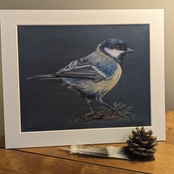 Great Tit, a signed print of an original drawing