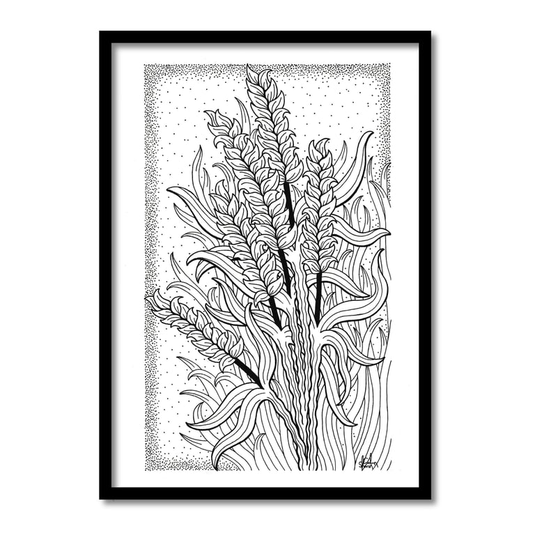 Wheat A4 Original Art Pen And Ink Drawing