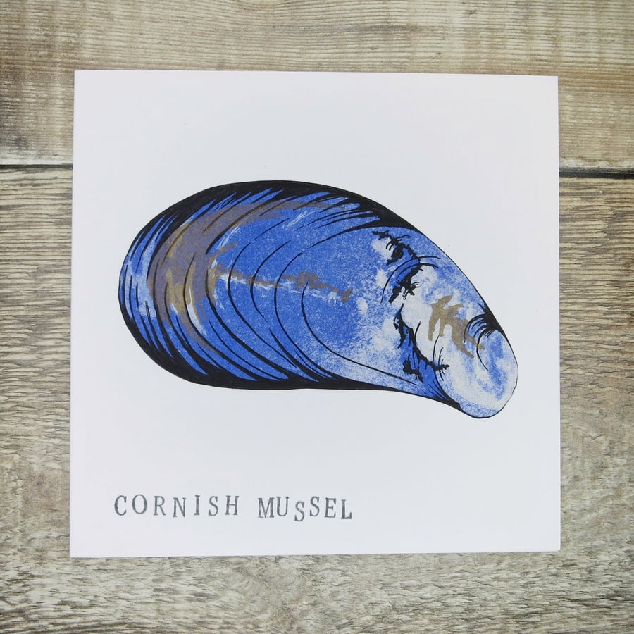 Cornish Mussel Greetings Card - Large Mussel 