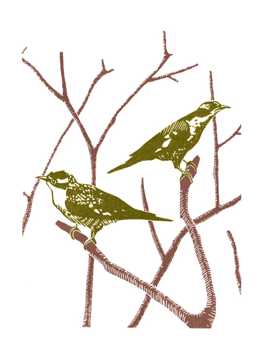 Two Cuckoos A3 poster-print
