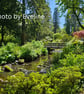 Bodnant Gardens North Wales Large Photographic Card Size 7" x 5" Blank Card - Image 3