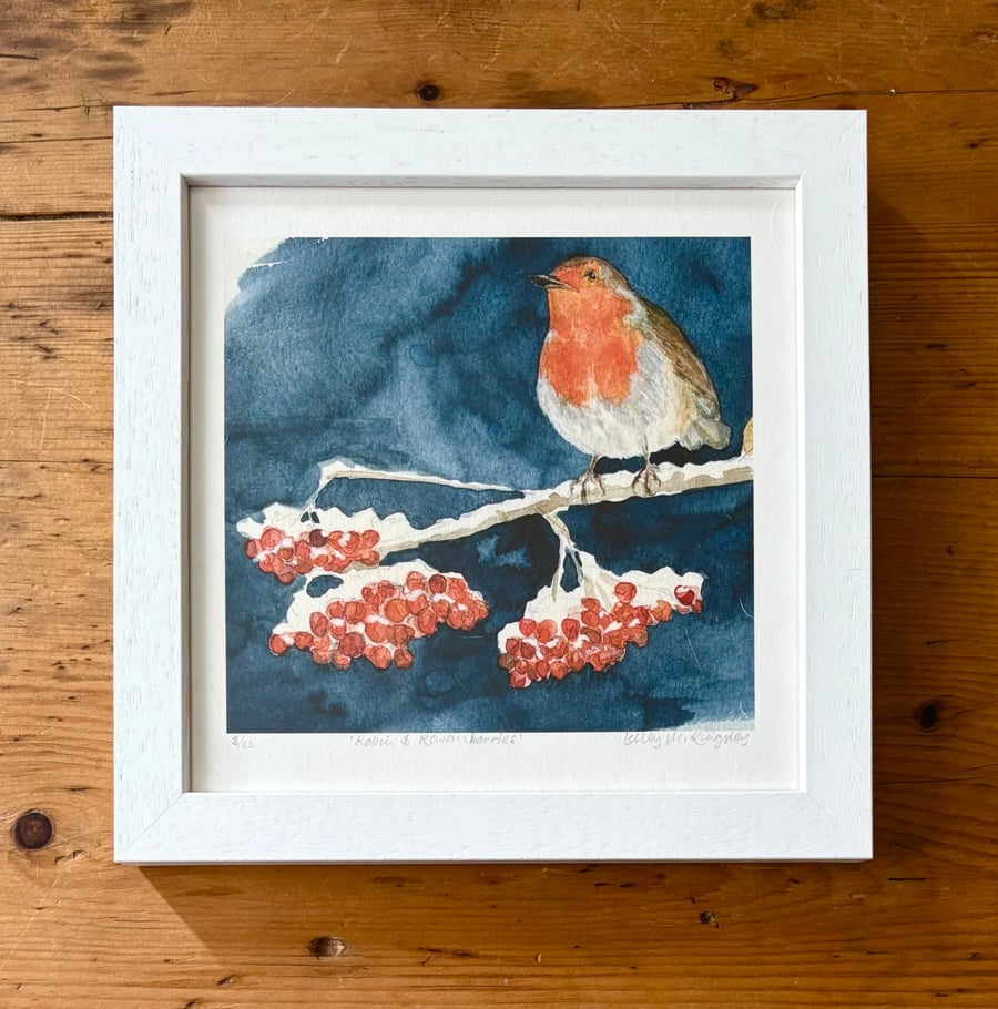 'Robin & Rowanberries' framed limited edition giclée print