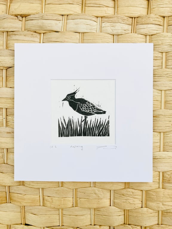 Lapwing print, Lapwing Lino print, bird print, British bird print.