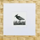 Lapwing print, Lapwing Lino print, bird print, British bird print.