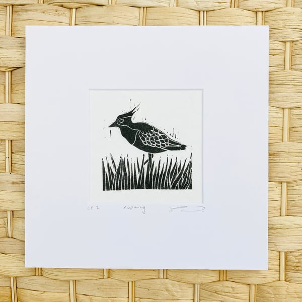 Lapwing print, Lapwing Lino print, bird print, British bird print.