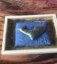 Dancing Dolphin - Image 2