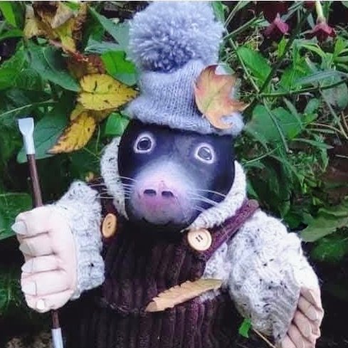 Matty Mole